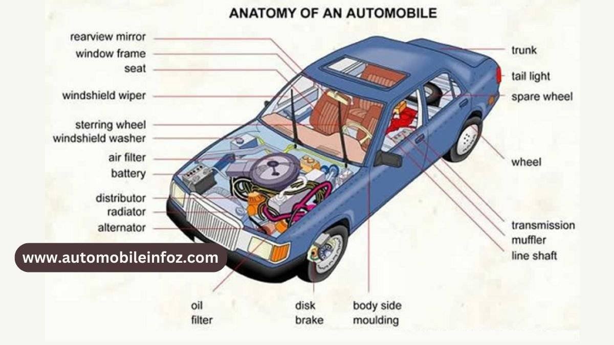 Basic Car Knowledge